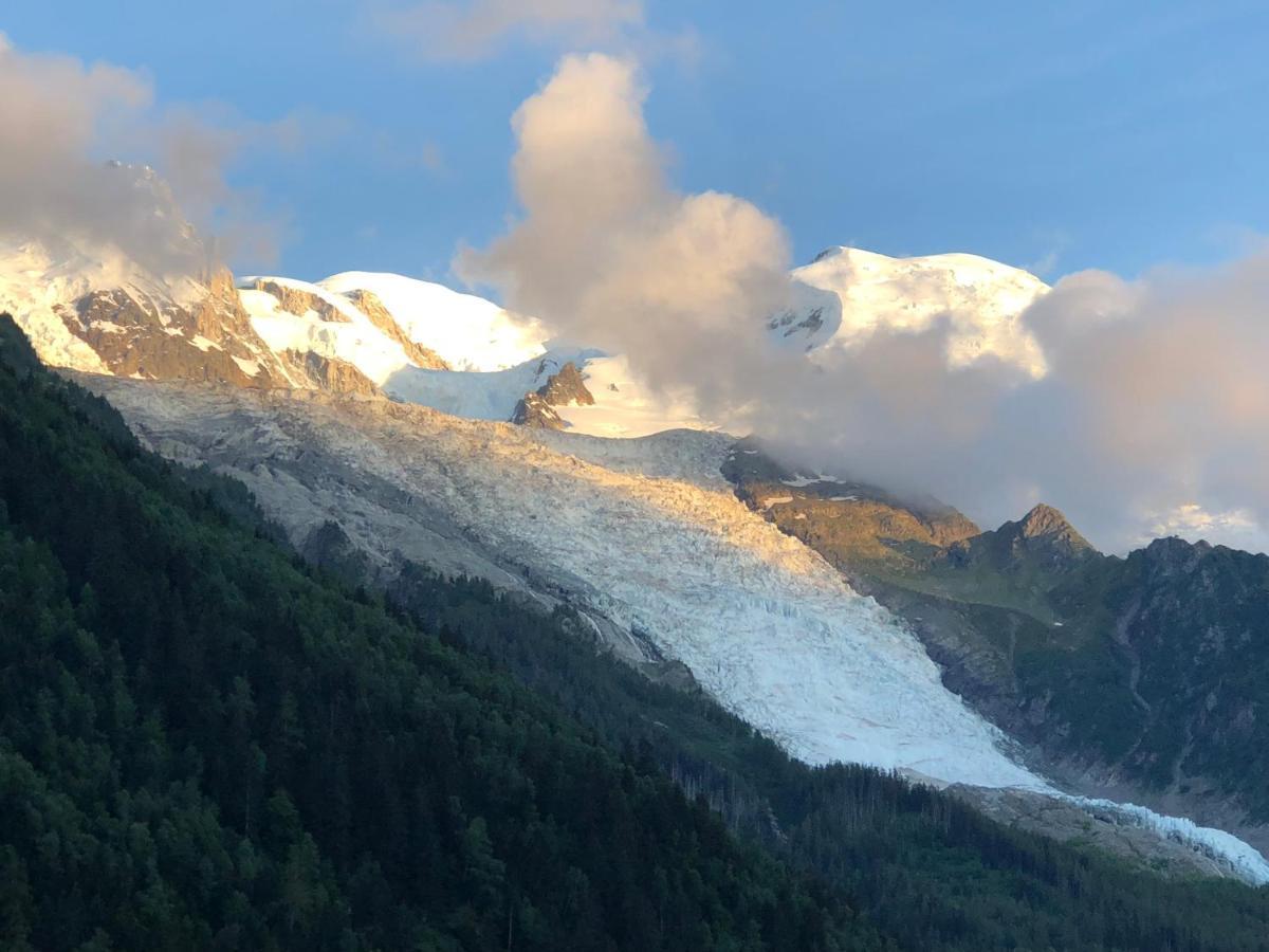 Mont Blanc 43, Vue Mont Blanc , Balcon, Parking Διαμέρισμα Σαμονί Εξωτερικό φωτογραφία
