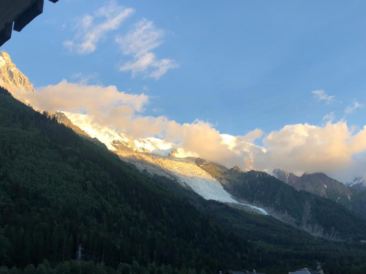 Mont Blanc 43, Vue Mont Blanc , Balcon, Parking Διαμέρισμα Σαμονί Εξωτερικό φωτογραφία