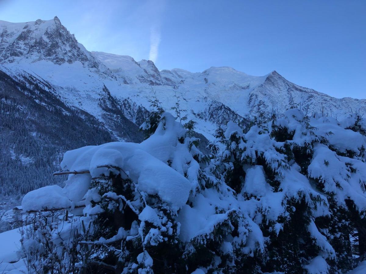 Mont Blanc 43, Vue Mont Blanc , Balcon, Parking Διαμέρισμα Σαμονί Εξωτερικό φωτογραφία