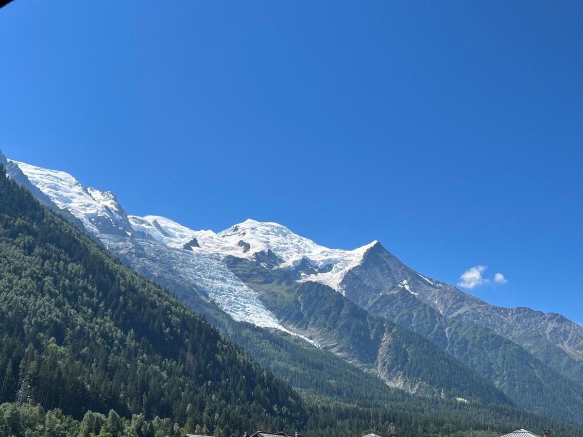 Mont Blanc 43, Vue Mont Blanc , Balcon, Parking Διαμέρισμα Σαμονί Εξωτερικό φωτογραφία